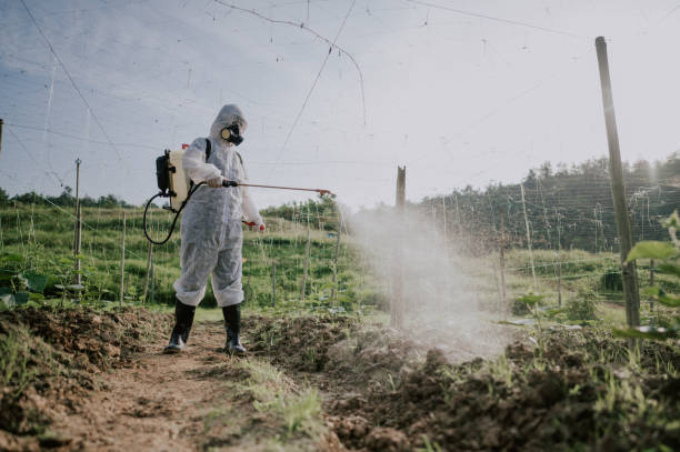 Pest Control Cost in Braddock Heights, MD