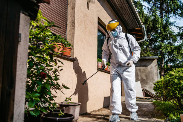 Best Rodent Control Near Me  in Braddock Heights, MD