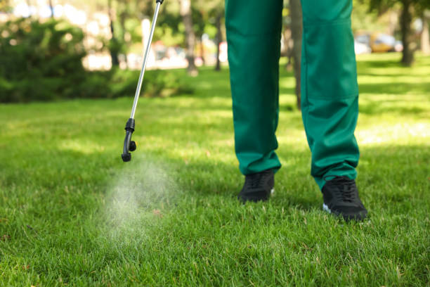 Best Residential Pest Control  in Braddock Heights, MD