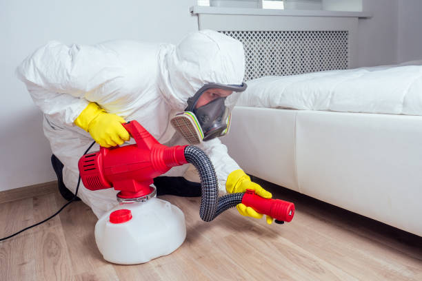 Best Ant Control Services  in Braddock Heights, MD