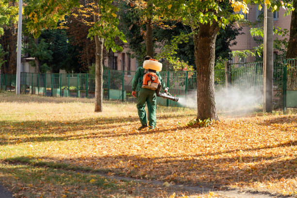 Best Pest Prevention Services  in Braddock Heights, MD
