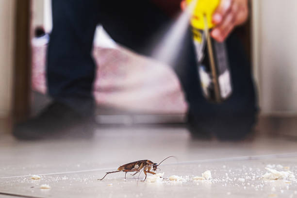Professional Pest Control in Braddock Heights, MD