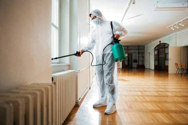 Best Bed Bug Extermination  in Braddock Heights, MD