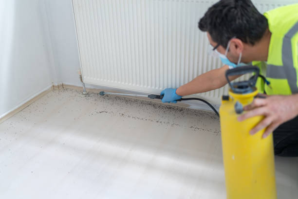 Best Mosquito Control Services  in Braddock Heights, MD