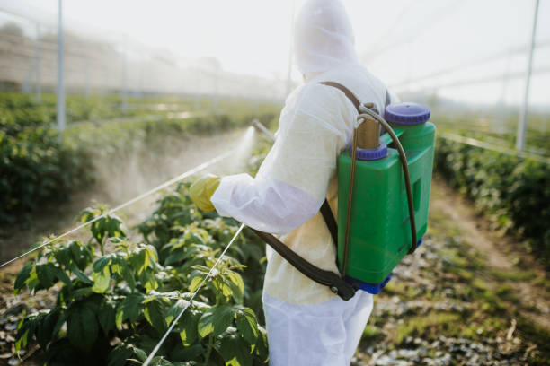 Best Pest Control Near Me  in Braddock Heights, MD